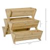 Raised Garden Bed Wood, Freestanding Planter Stand with 5 Planting Boxes and 4 Hooks, Good for Herbs, Flowers