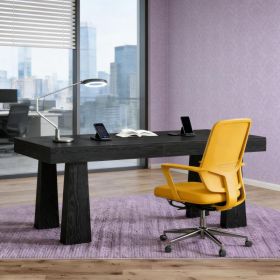 Computer Desk,Executive Desk,Home Office Desk,Writing Desk (Option: Black)