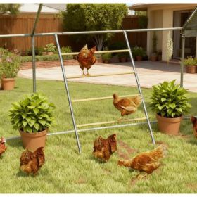 Chicken Roost For Coop, Jungle Gym Roosting Bar, 55X 33.75 (Option: Natural WoodSilver)