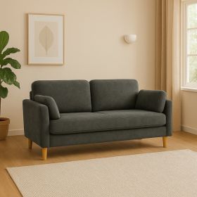Modern Minimalist 2-Seater Sofa (Option: Gray)