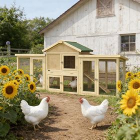 Hen House,Wooden Chicken Coop (Option: GreenNatural Wood)