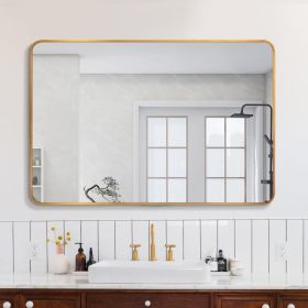 30x40 Inch Gold Metal Framed Rectangular Bathrrom Mirror For Wall. W2203134113 (Option: Gold)